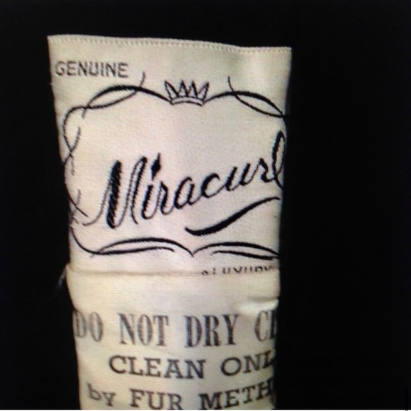 Vintage, Genuine Miracurl, Black Persian Lamb with Gray Collar Dress Coat  (L) - Picture 12 of 12